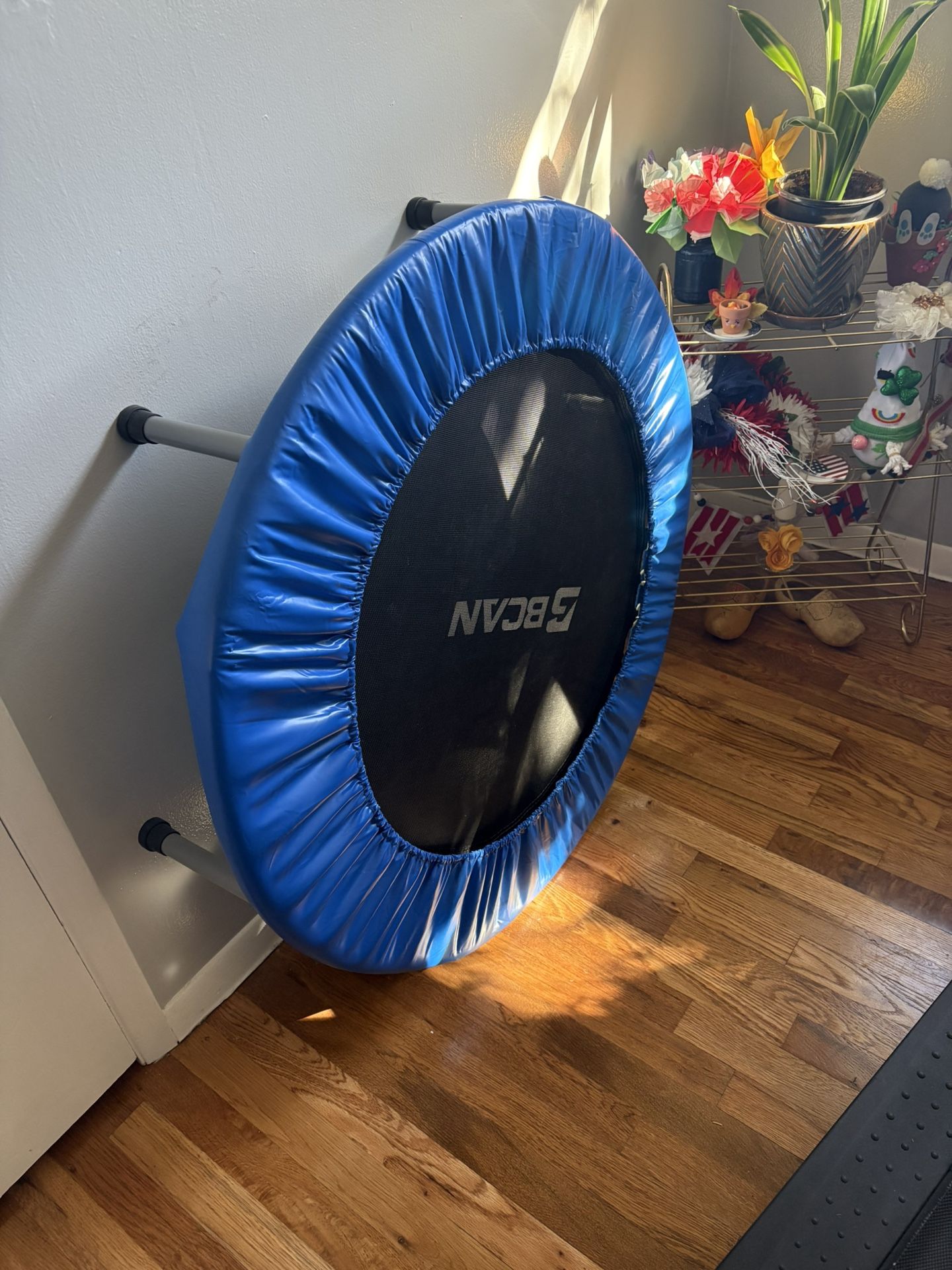 Exercise Trampoline: 30” Circumference/10” High