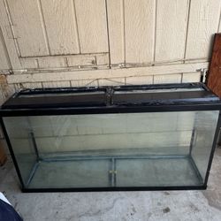 55 Gallon Fish Tank with Stand