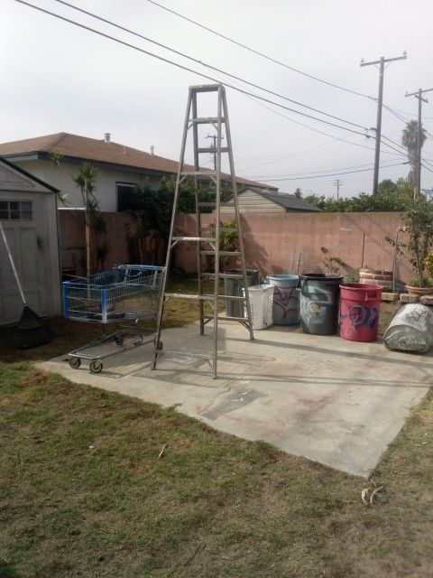20 Foot Ladder 