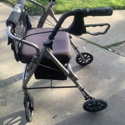 Hugo Mobility Walker