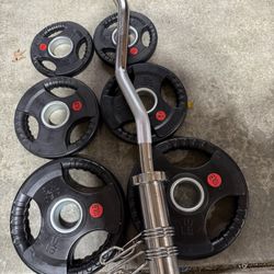Olympic Weights Curl Bar Set