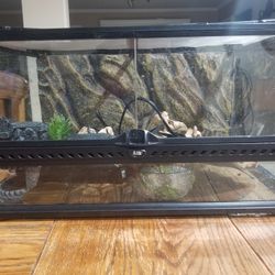 Reptile Tank 