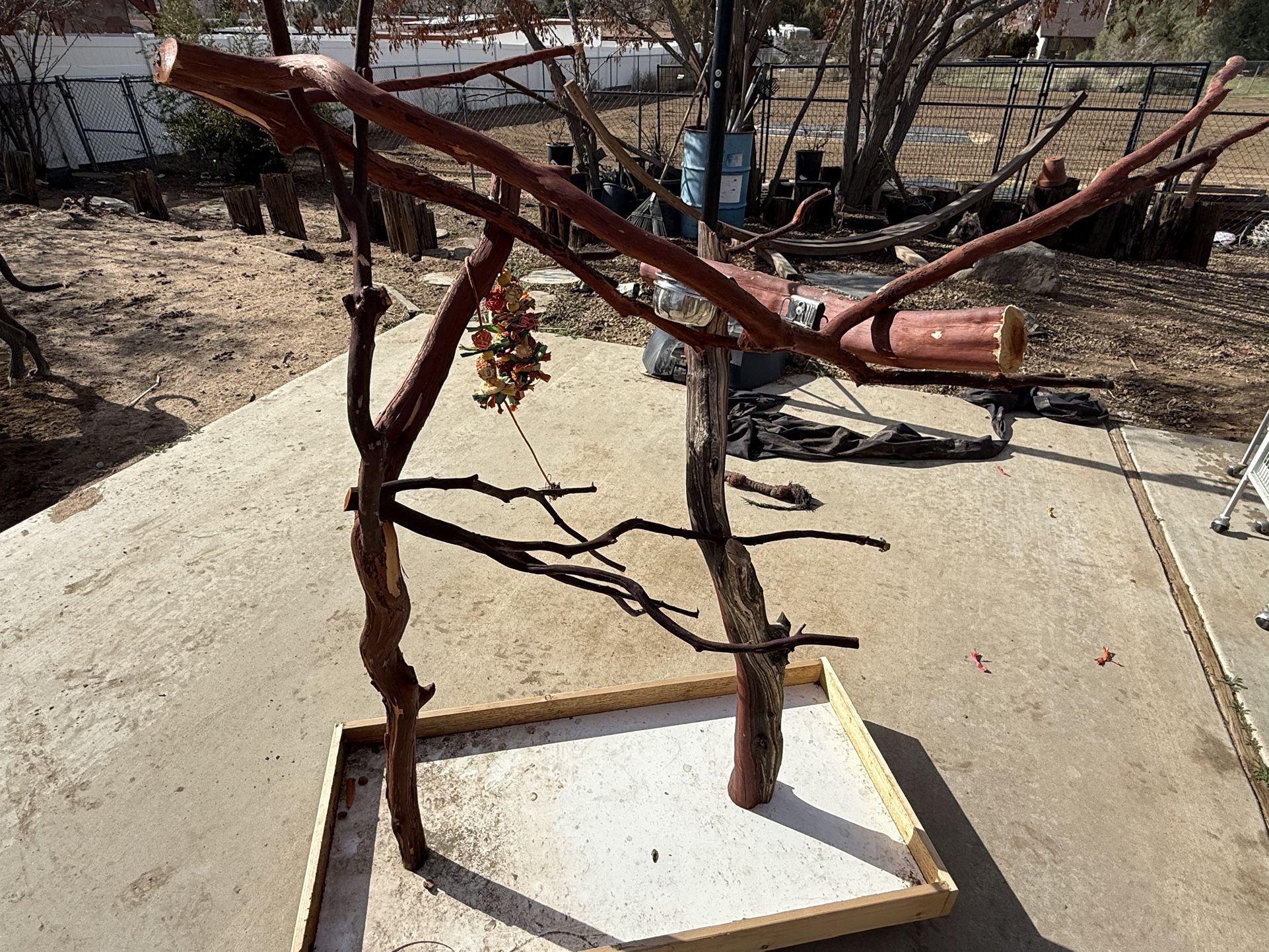 Manzanita Parrot Stand