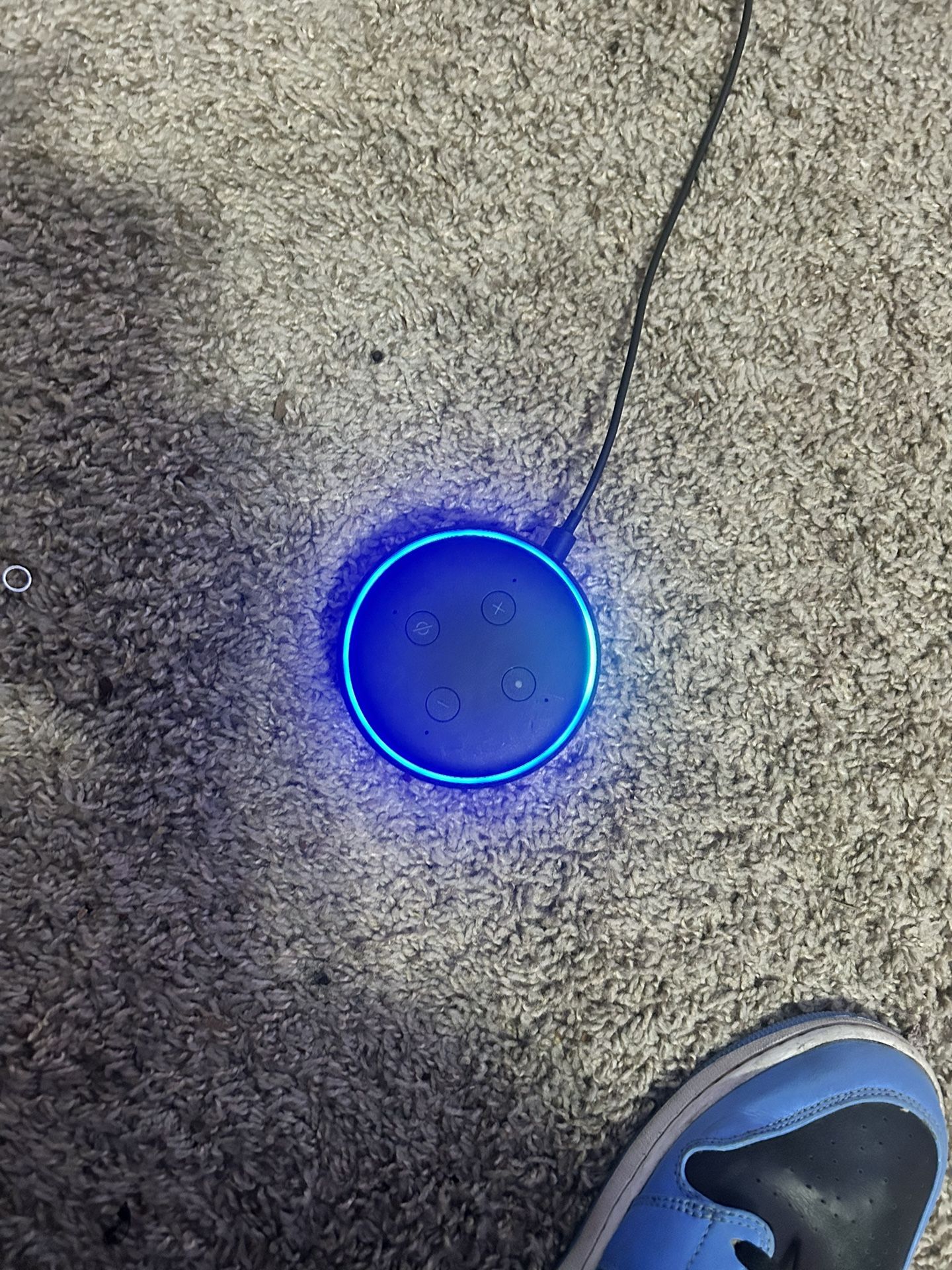 Alexa Speaker 
