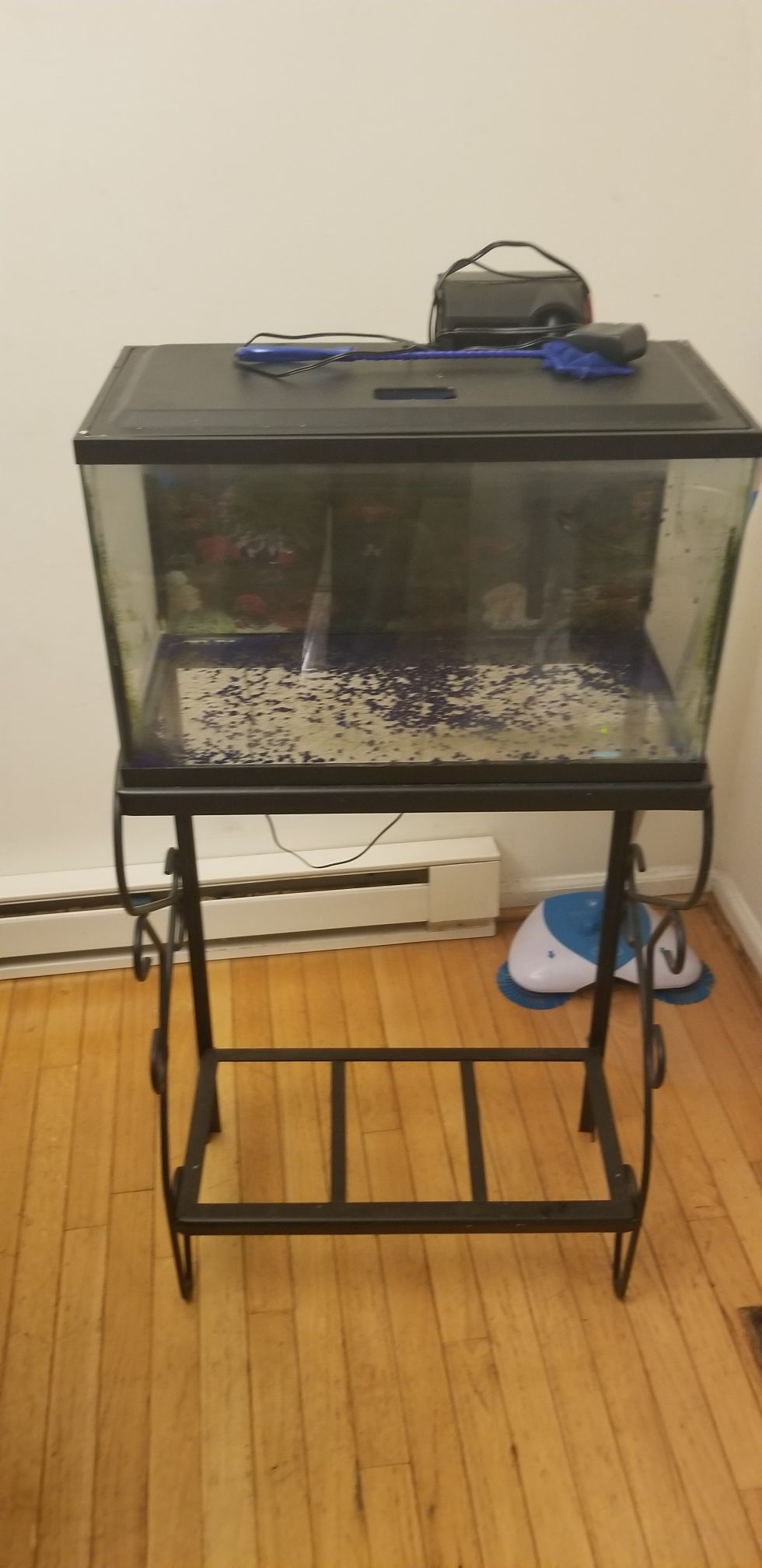 Fish Tank