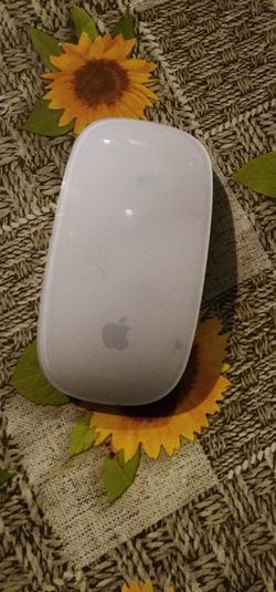Apple Mouse