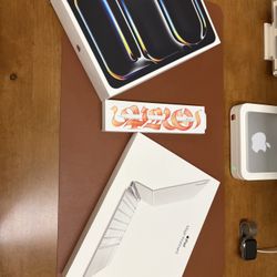 2025 M5 11 Inch IPad Pro (silver)  Mint + All Accessories 