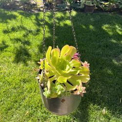 Beautiful Hanging Planter