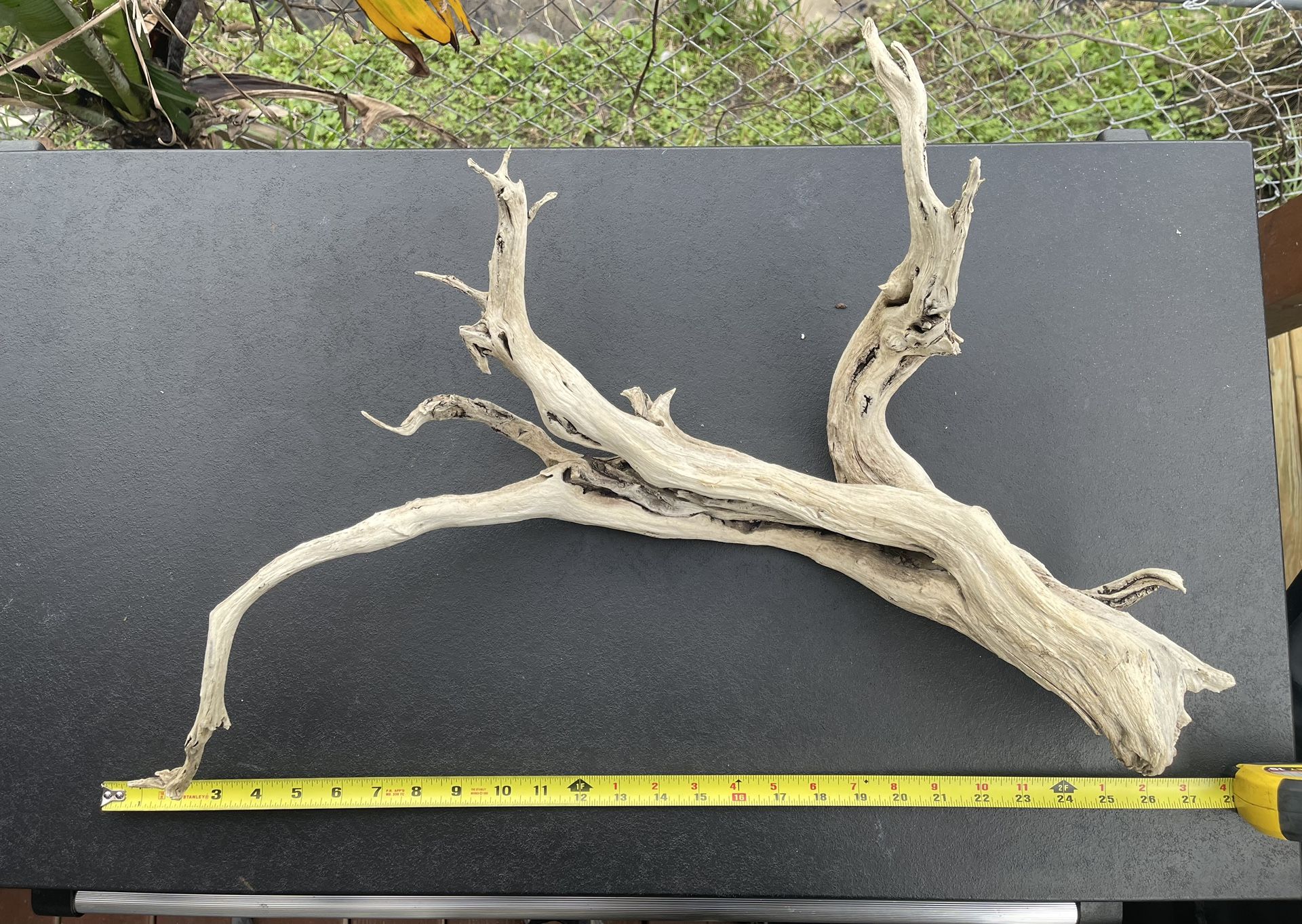 Natural Driftwood Aquarium Decor Cured