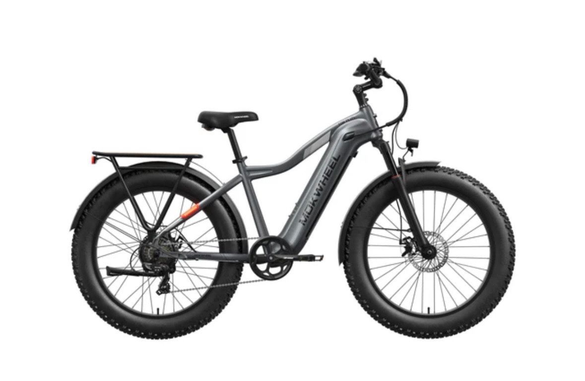 Electric Bike