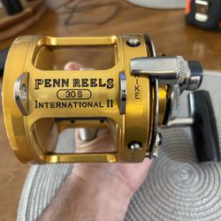 Penn International 30s 2 Speed