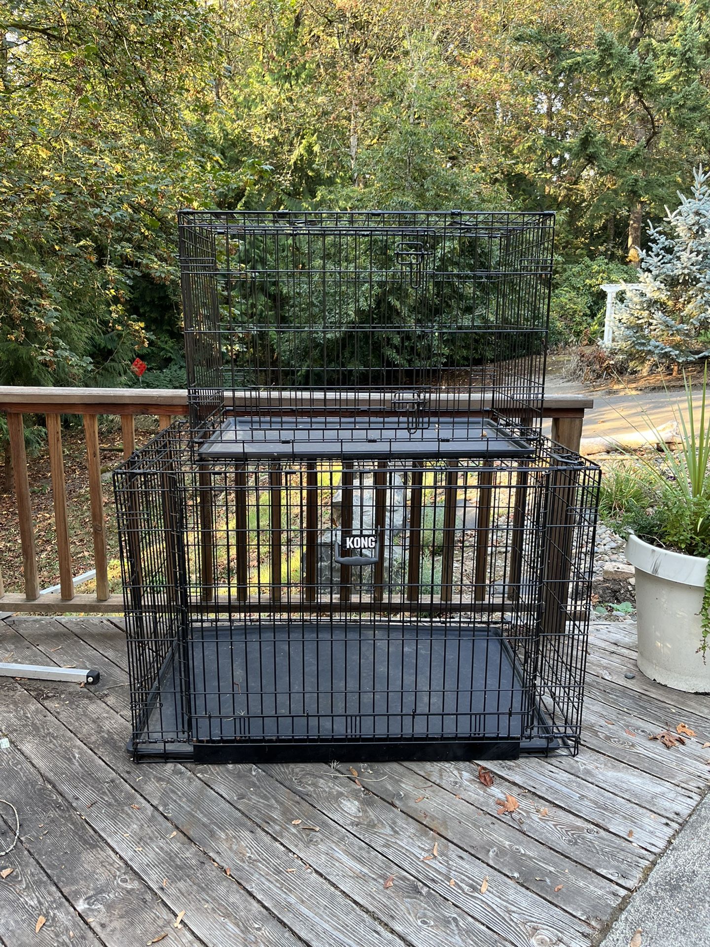 Medium Dog Kennels Available