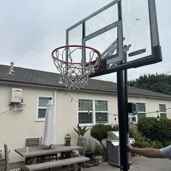 Basketball  Adjustable  Hoop  Court