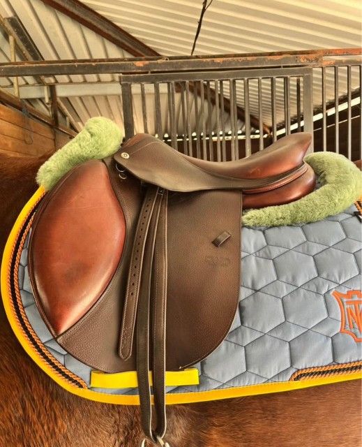 CWD Saddle
