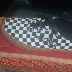 Vans Skate Shoes Size 10.5