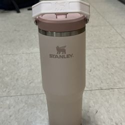 Pink Stanley 30oz