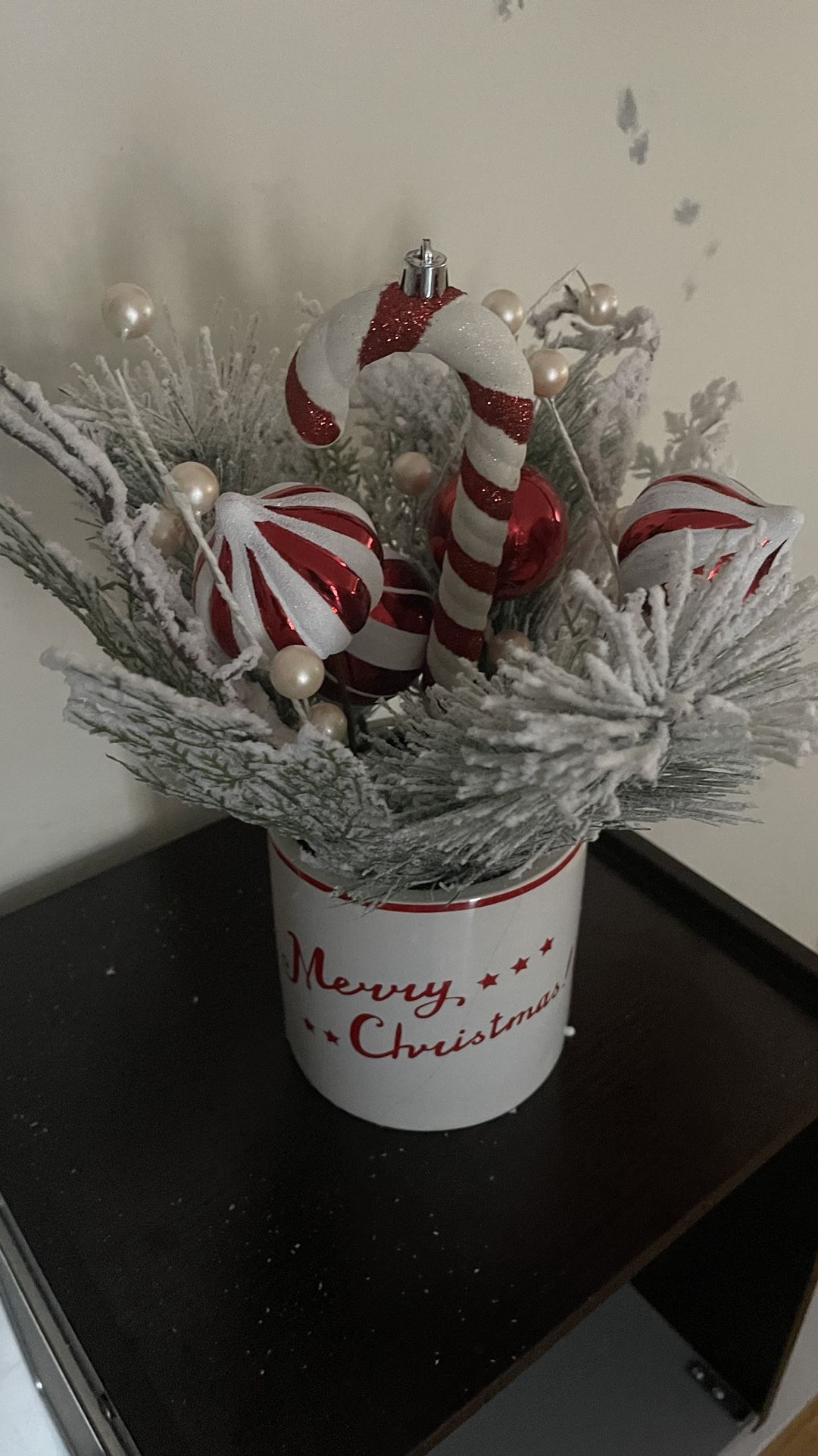 Christmas Ceramic Pot with Decor Plant 🌱 And Candy Cane 
