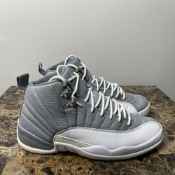Size 9.5 - Jordan 12 Stealth 