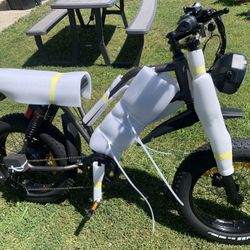NEW POLEEJIEK ELECTRIC BIKE