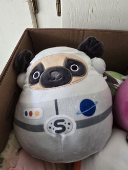 Squishmallow Space Dog NWT