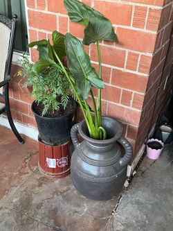 A clear choice to buy some plants here