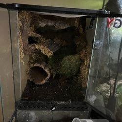 12x12x18 exo terra