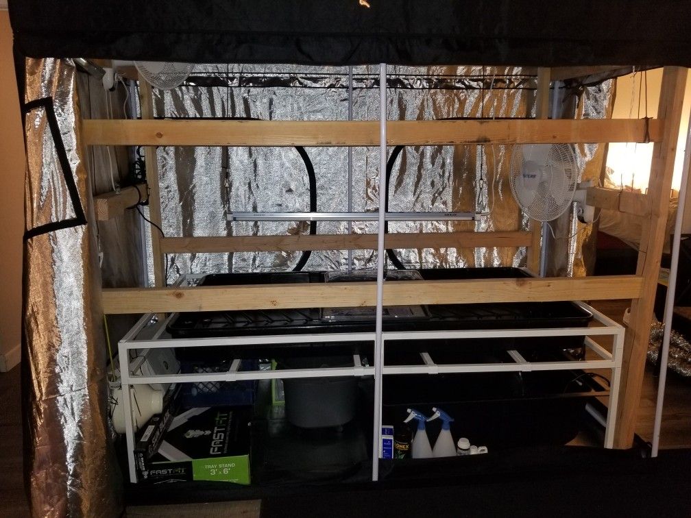 Full Beginner Hydroponic Grow Setup