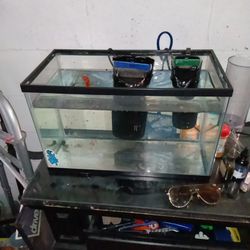 Fish Tank $40