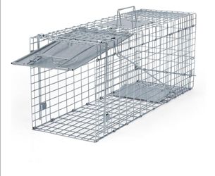 Animal Trap