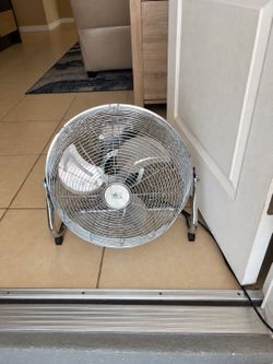 Fan