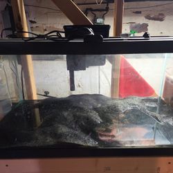40 Gallon Breeder
