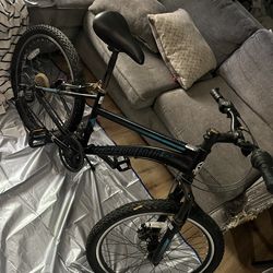 Schwinn mountain bike