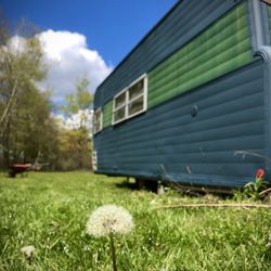 Free Camper