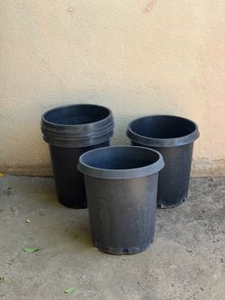 Large plant pots