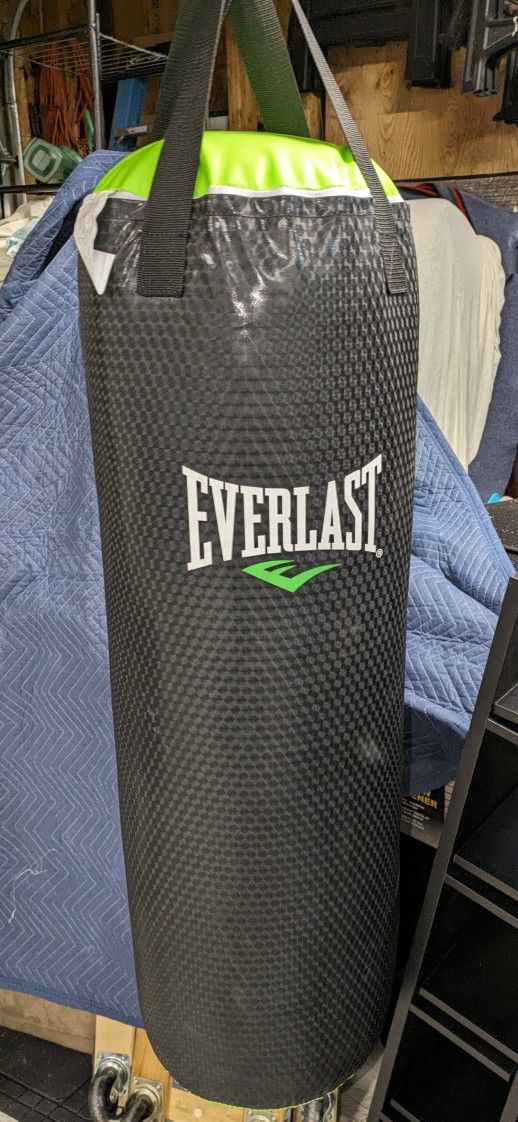 Everlast Punching Bag