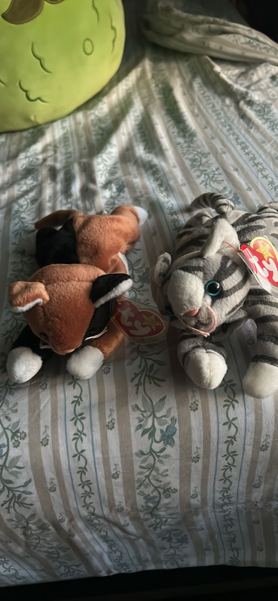 Beanie Babies Kittens