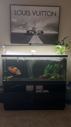 Fish tank