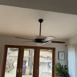Ceiling Fan/Like New