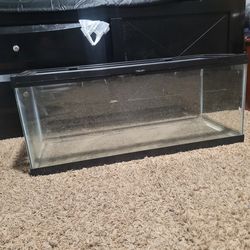 20 Gallon reptile fish tank