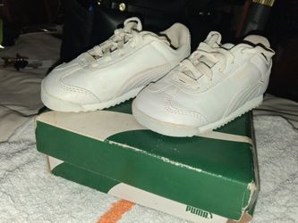 Baby pumas