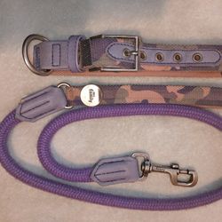 Dog Collar & Leash Set ("My Family")