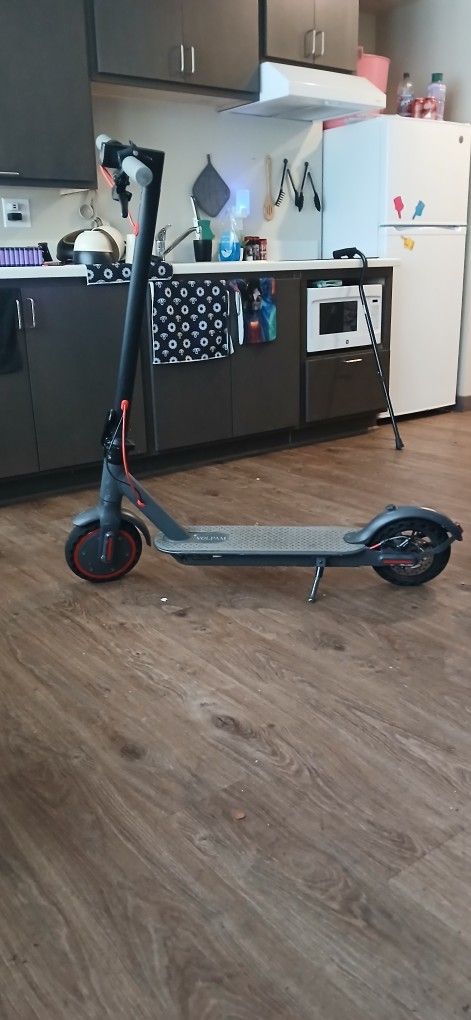 Volpam Sp06 350watt Electric Scooter