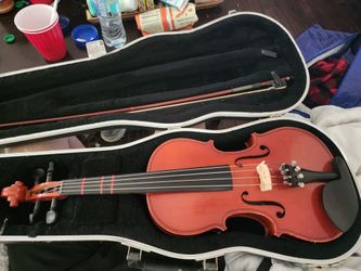 Viola