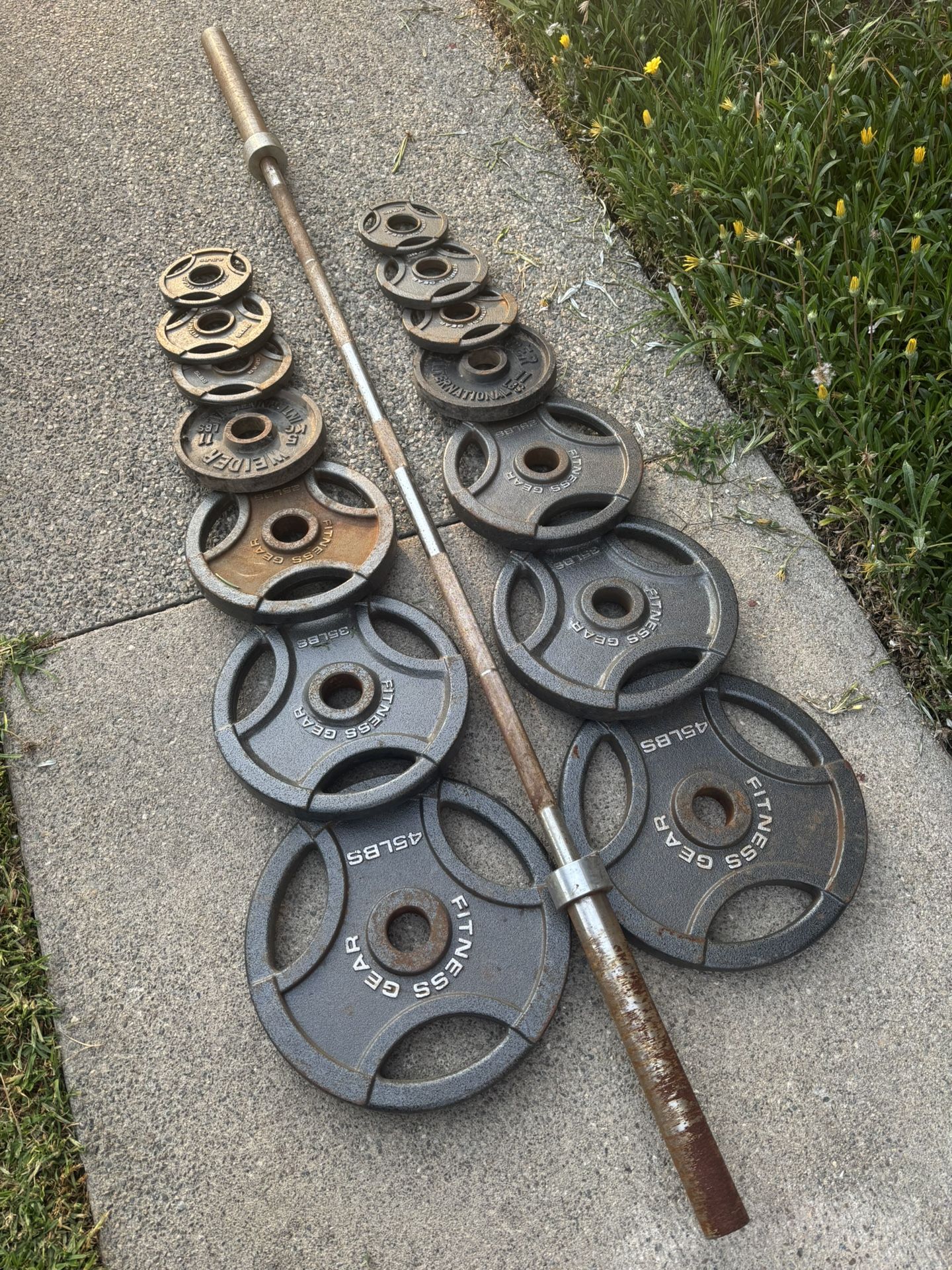 300 Lb Weights Set $210 Firm ( 2.5 Lbs-45 Lbs )
