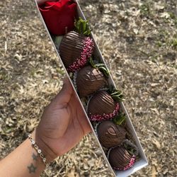 Valentine’s Day Gift 