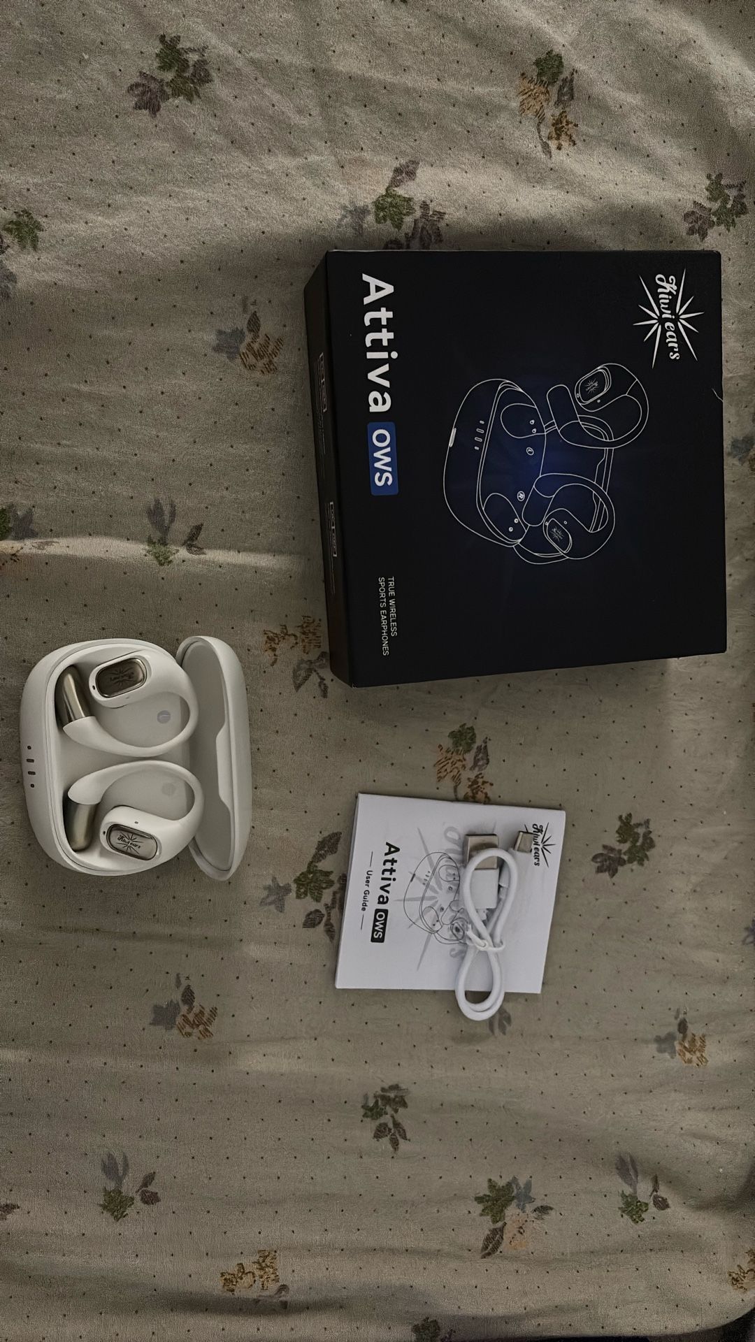 Openear True Wireless Earphones