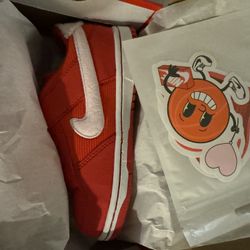 Nike Dunk Low Kids 