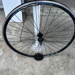 29” or 700c Rear Wheel +7 Speed Freewheel cassette