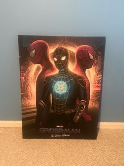 Spider-Man Canvas
