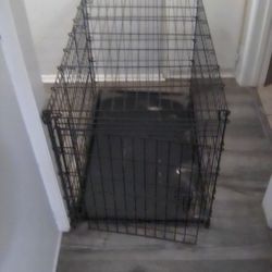 Dog Cage 